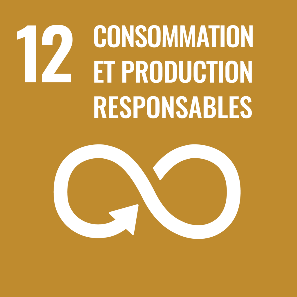 objectif développement durable 12 consommation et production responsables fiainana
