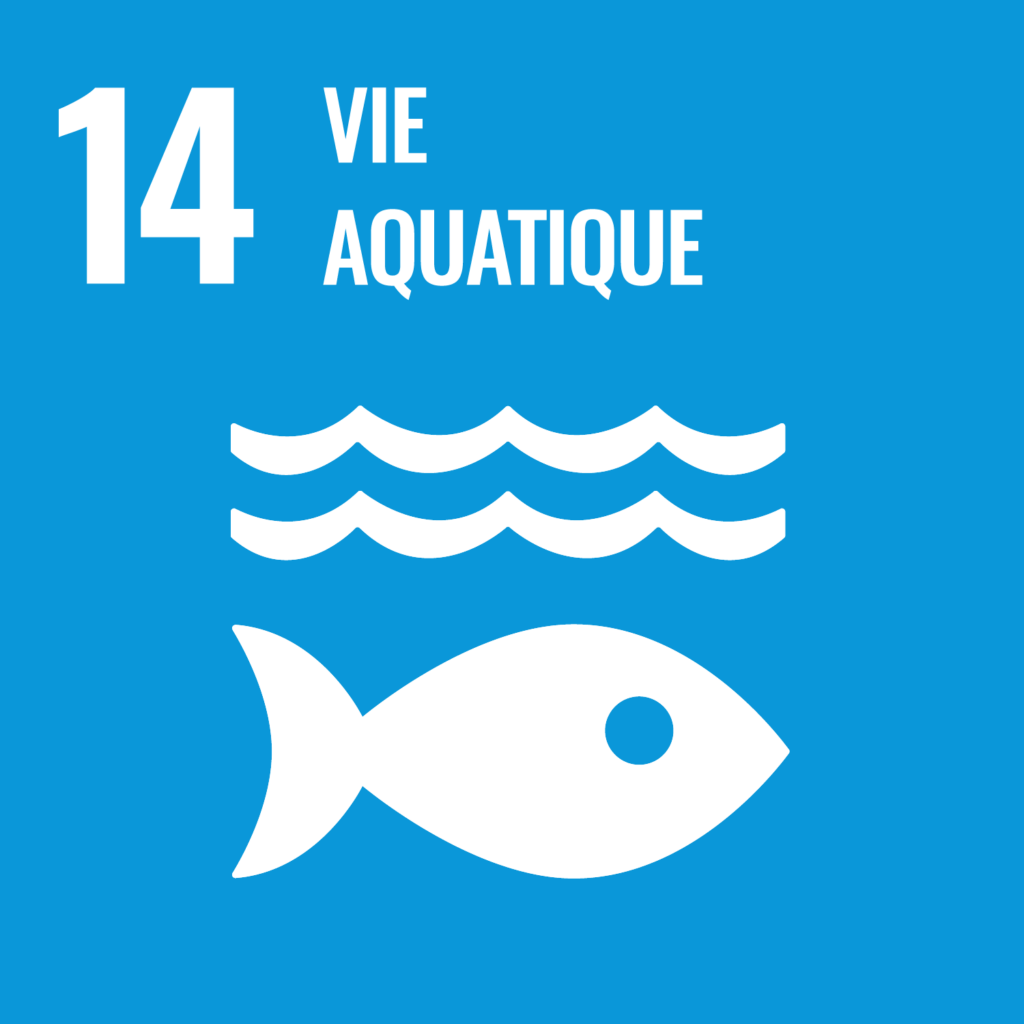objectif développement durable 14 vie aquatique fiainana